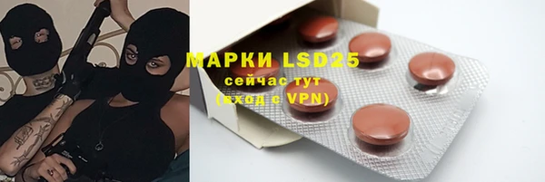 сатива Аркадак