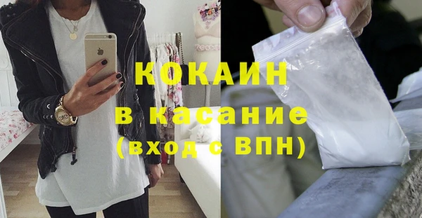 сатива Аркадак