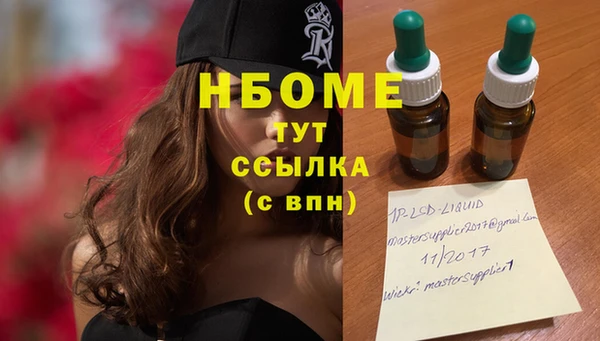 сатива Аркадак