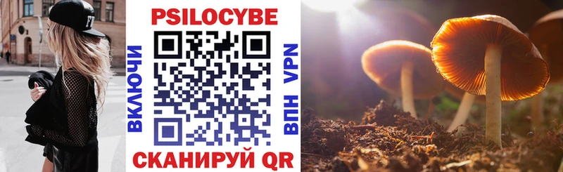 даркнет формула  Сосновоборск  Галлюциногенные грибы GOLDEN TEACHER 